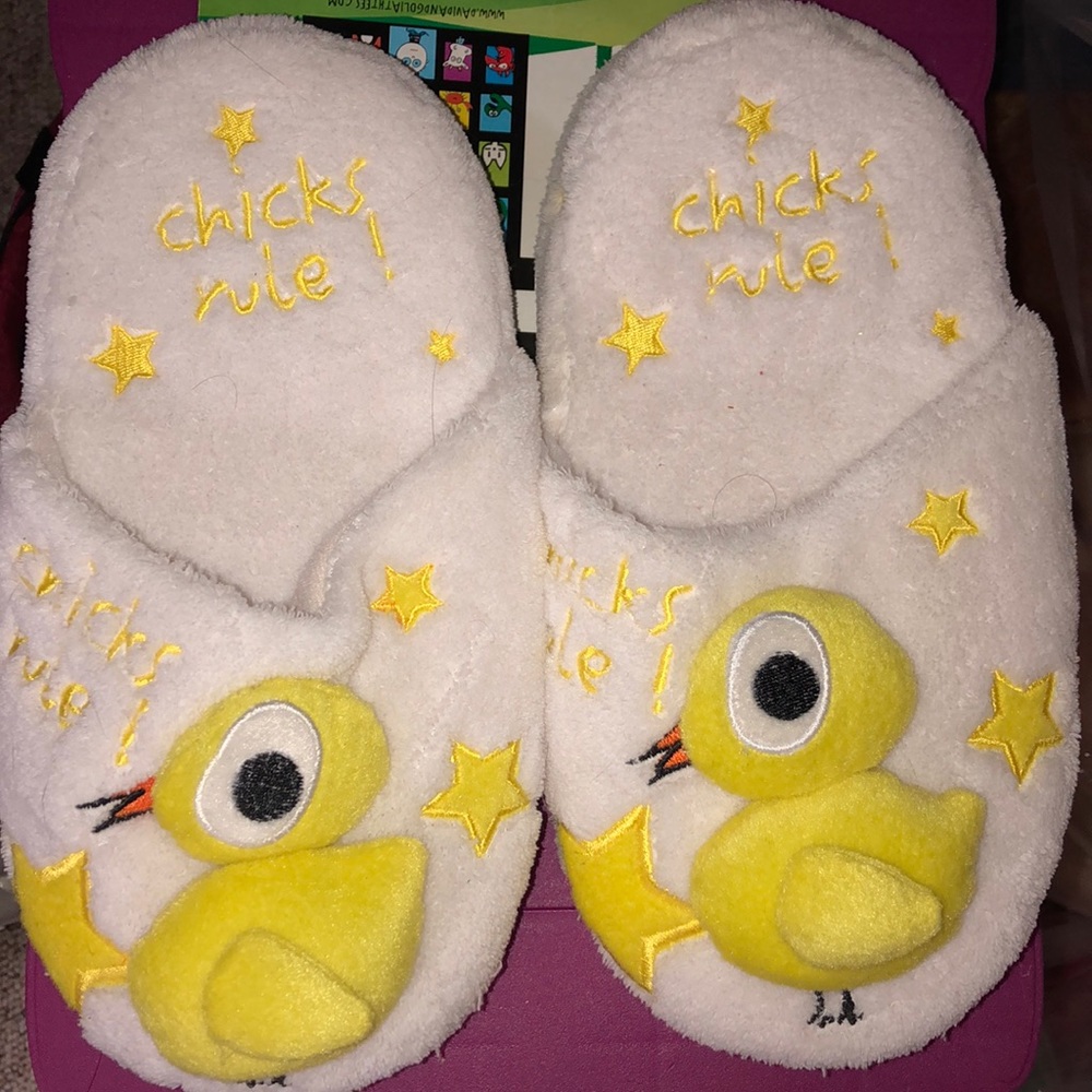 NWT chicks rule slippers 🐥🐣
